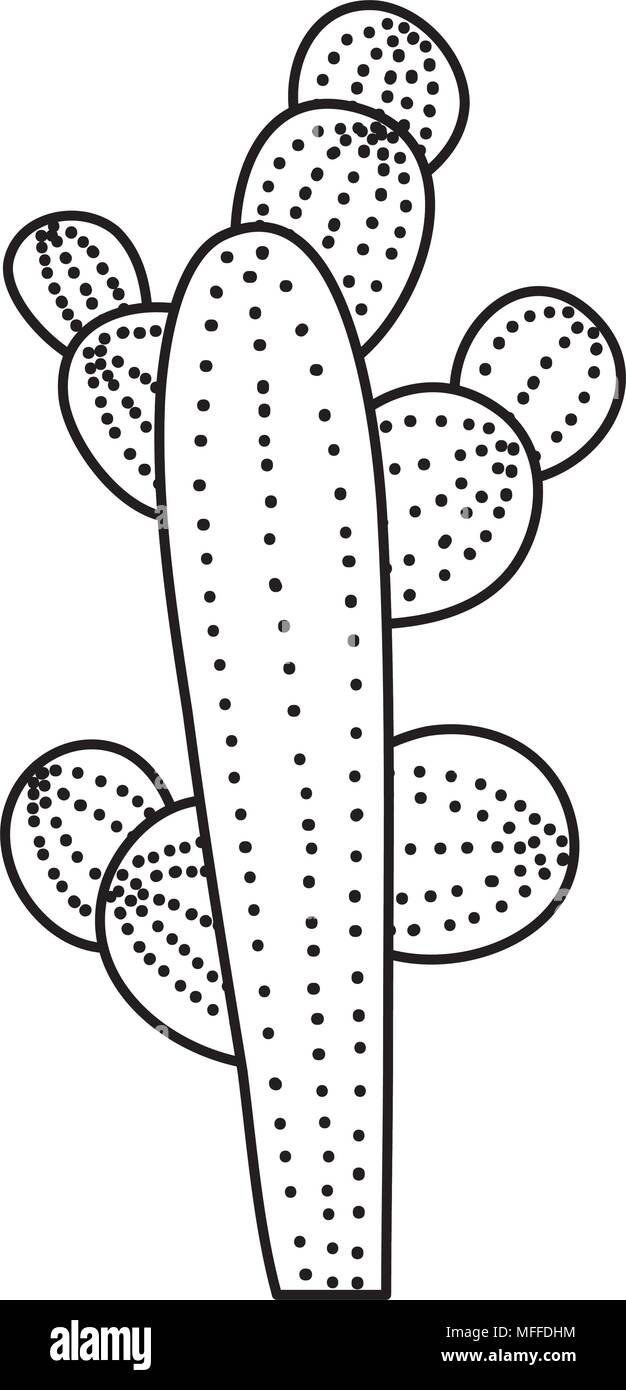 line botany cactus desert nature plant Stock Vector Image & Art - Alamy