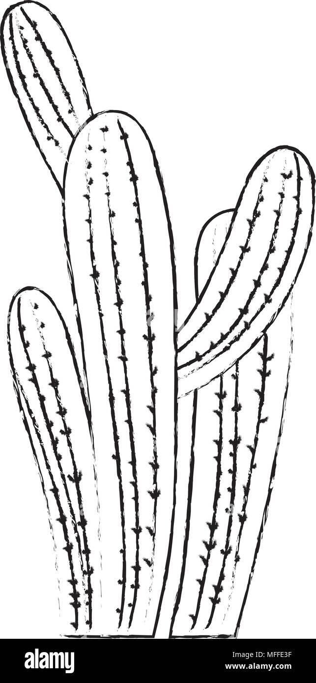 grunge desert nature cactus plant design Stock Vector Image & Art - Alamy