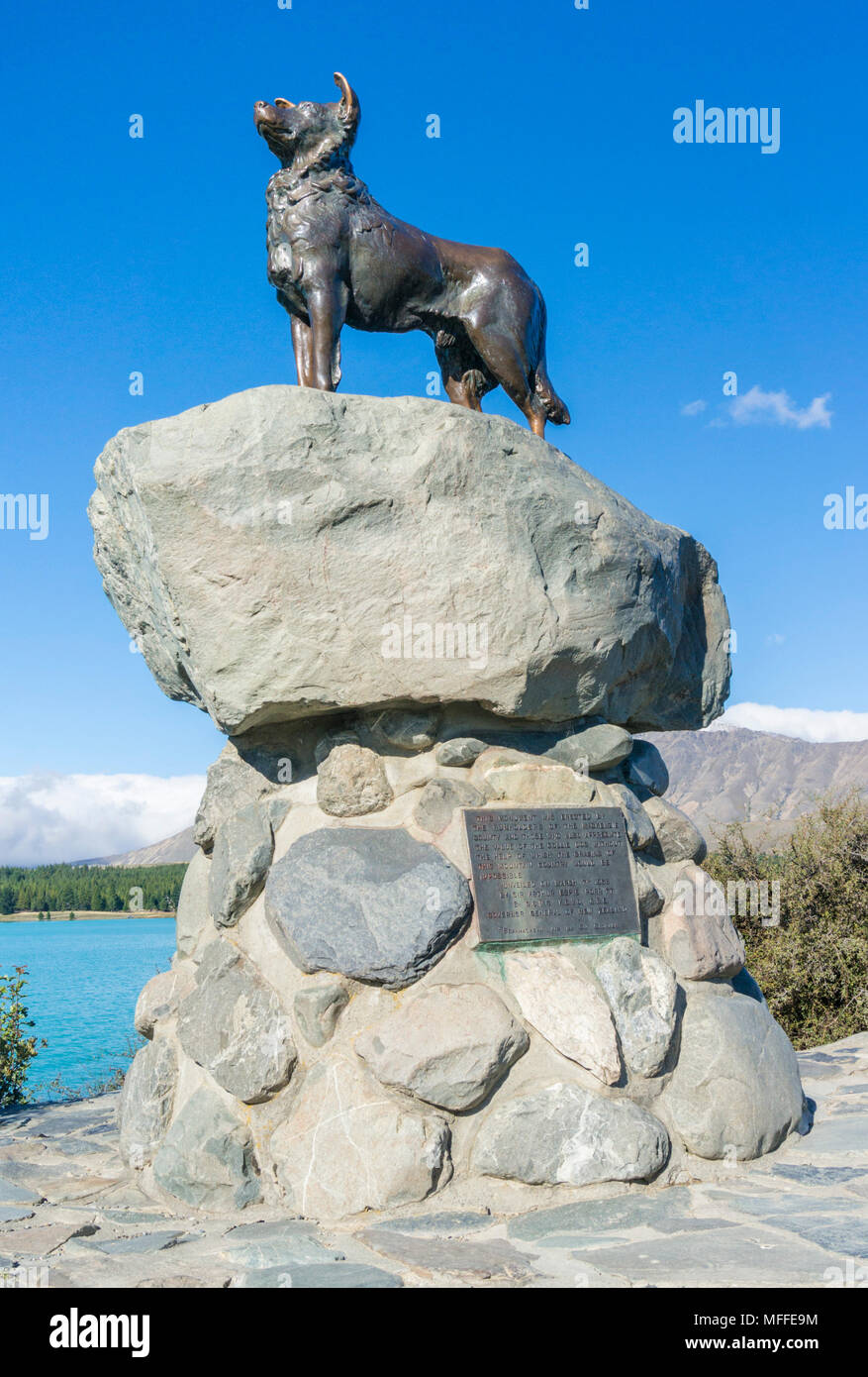 new zealand south island new zealand sheepdog statue sculpture lake
