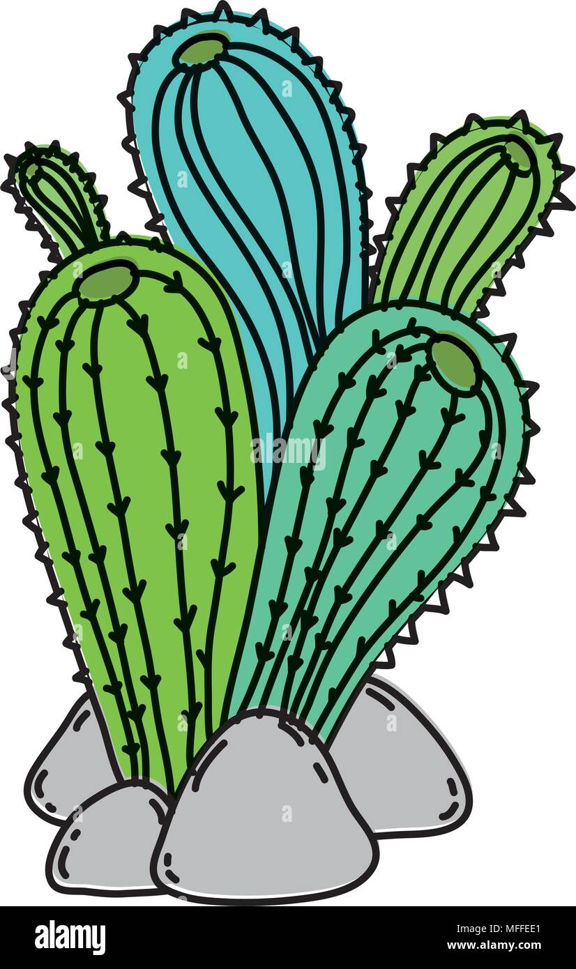 color desert cactus plant with nature stones Stock Vector Image & Art ...