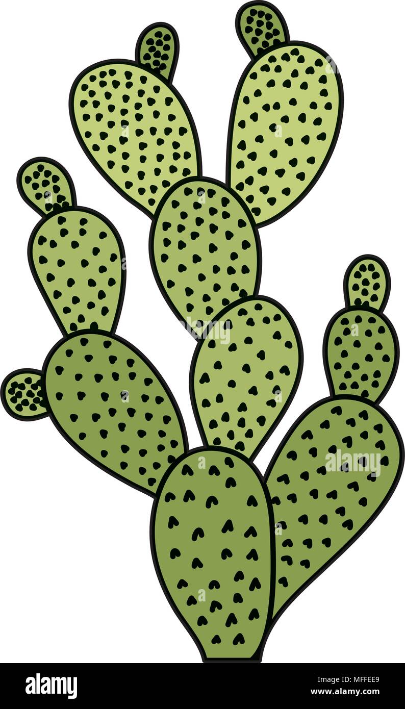 color tropical cactus nature desert plant Stock Vector Image & Art - Alamy