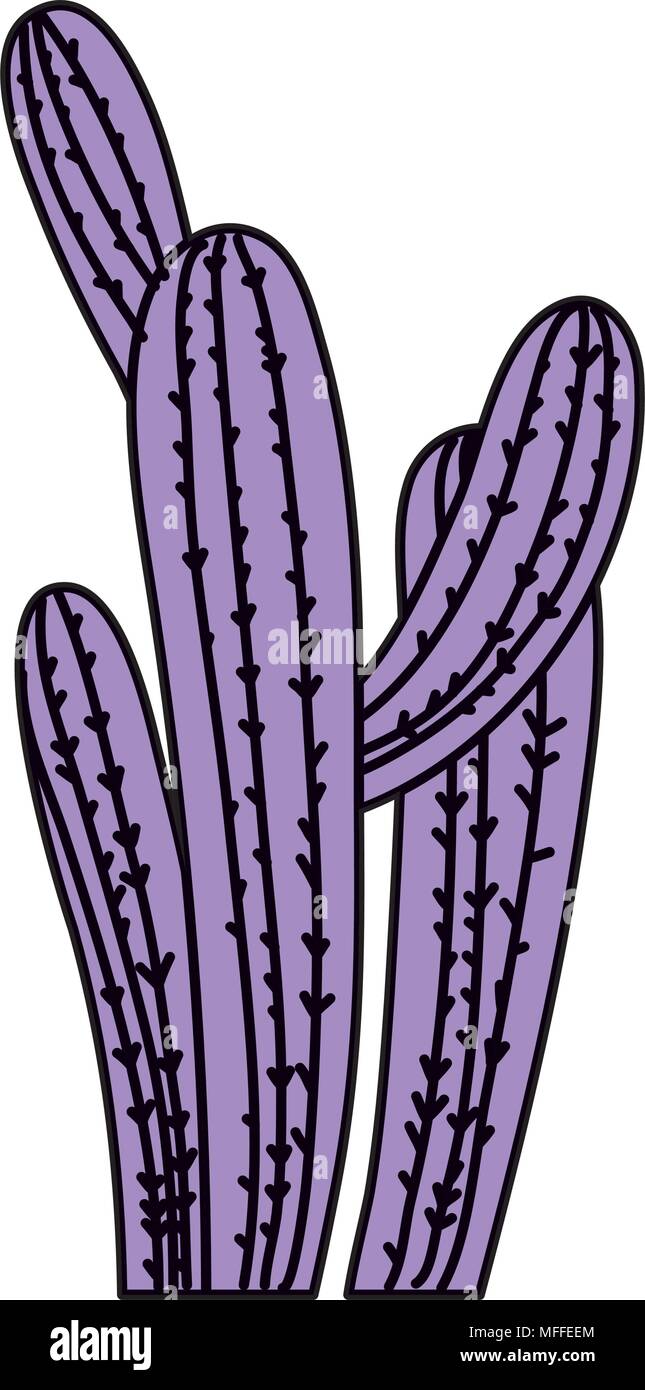 color desert nature cactus plant design Stock Vector Image & Art - Alamy