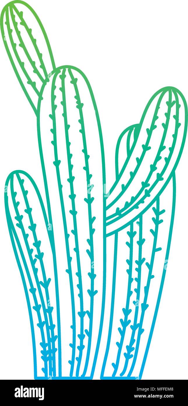 degraded line desert nature cactus plant design Stock Vector Image ...