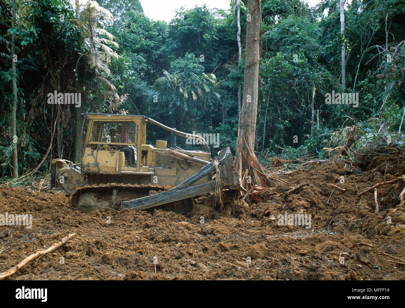 Bulldozer clearing trees and vegetation f or road into logging concession areas Gabon Stock Photo