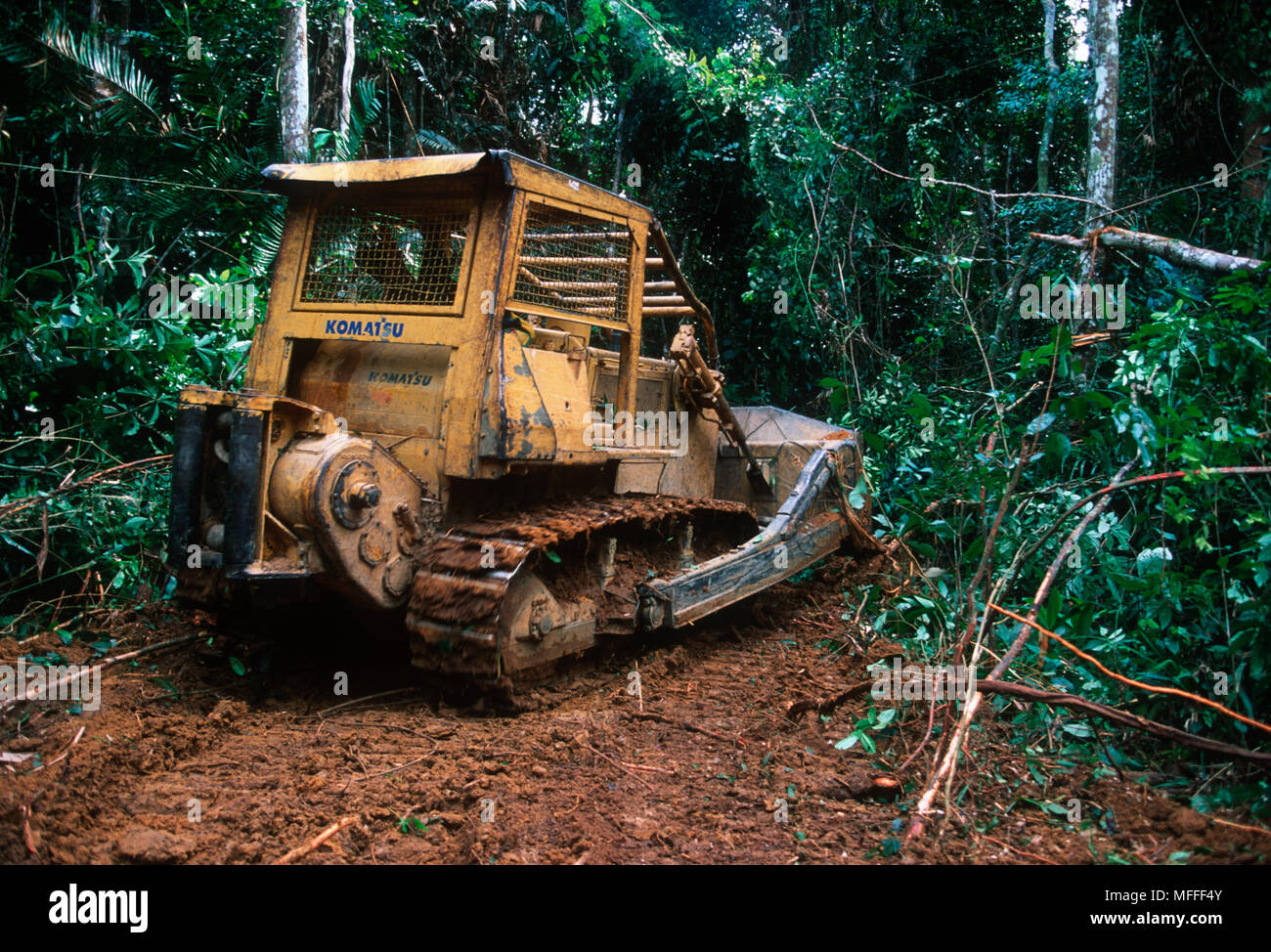 RAINFOREST LOGGING bulldozer clearing trees and vegetation to build a road into logging concession areas, Gabon. Stock Photo