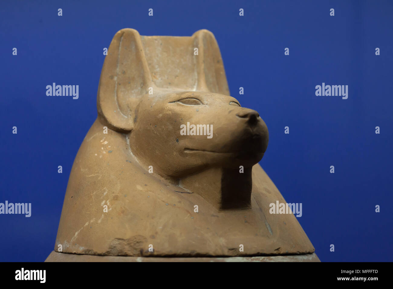 Duamutef. Jackal-headed god. Ancient Egyptian limestone cover of the canopic jar of Payefciauemauiaset dated from the 26th Dynasty (664-525 BC) on display in the National Archaeological Museum (Museo Archeologico Nazionale di Napoli) in Naples, Campania, Italy. Stock Photo