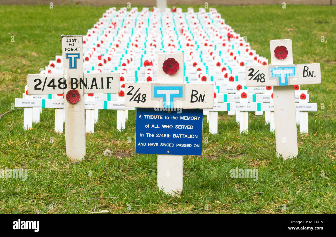 Multiple rows of crosses in North Terrace, Adelaide, Australia commemorate Australian soldiers who fought in the 2/48th Battalion during World War 2 Stock Photo