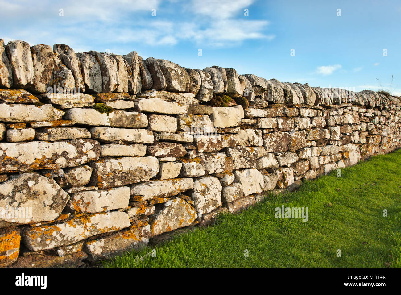 Detail of stone wall in Scottish highland. Stock Photo