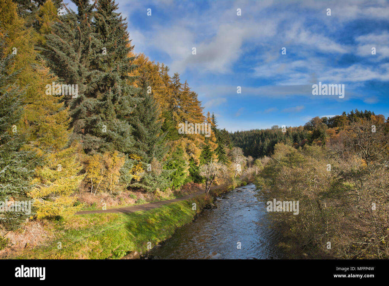 Autumnal coloured trees with stream. Stock Photo