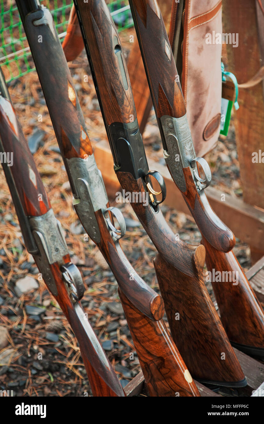 Shotguns at the ready during a clay of clay pigeon shooting. Stock Photo