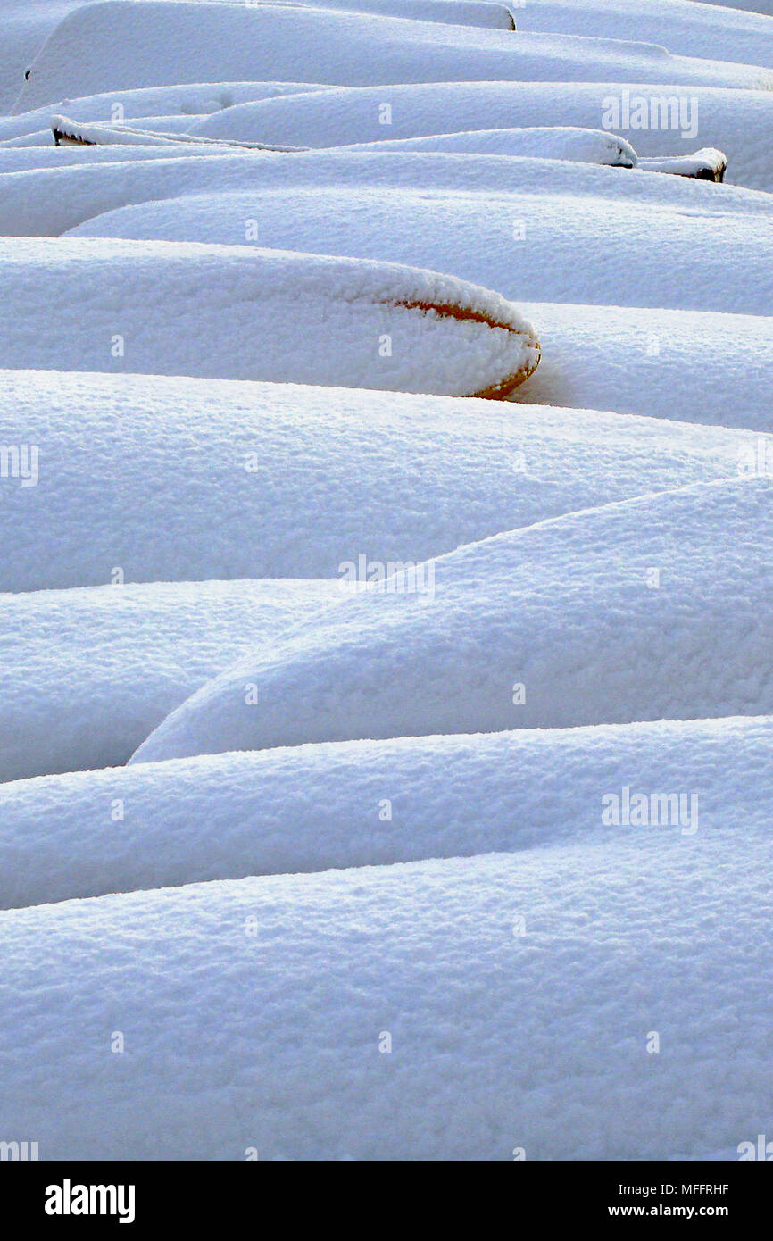Fresh fall of snow lies across the undulating back of of canoes and kayaks stored on Hove beach, Sussex, England, UK, kissed by rosy winter dawn light Stock Photo