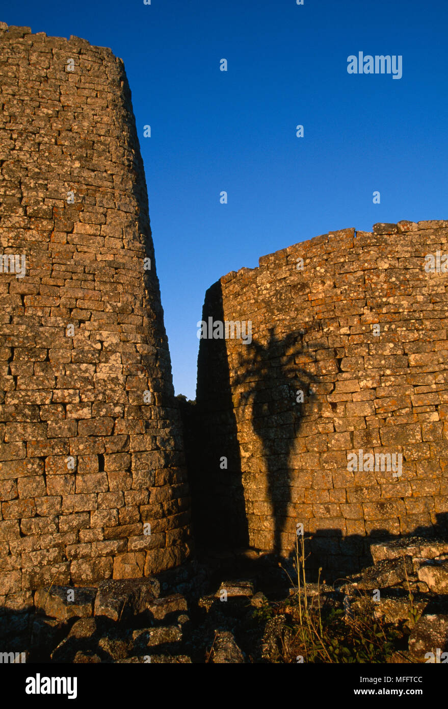 GREAT ZIMBABWE RUINS Silhoutte of an aloe on the walls  of the Great Enclosure Zimbabwe, southern Africa Stock Photo