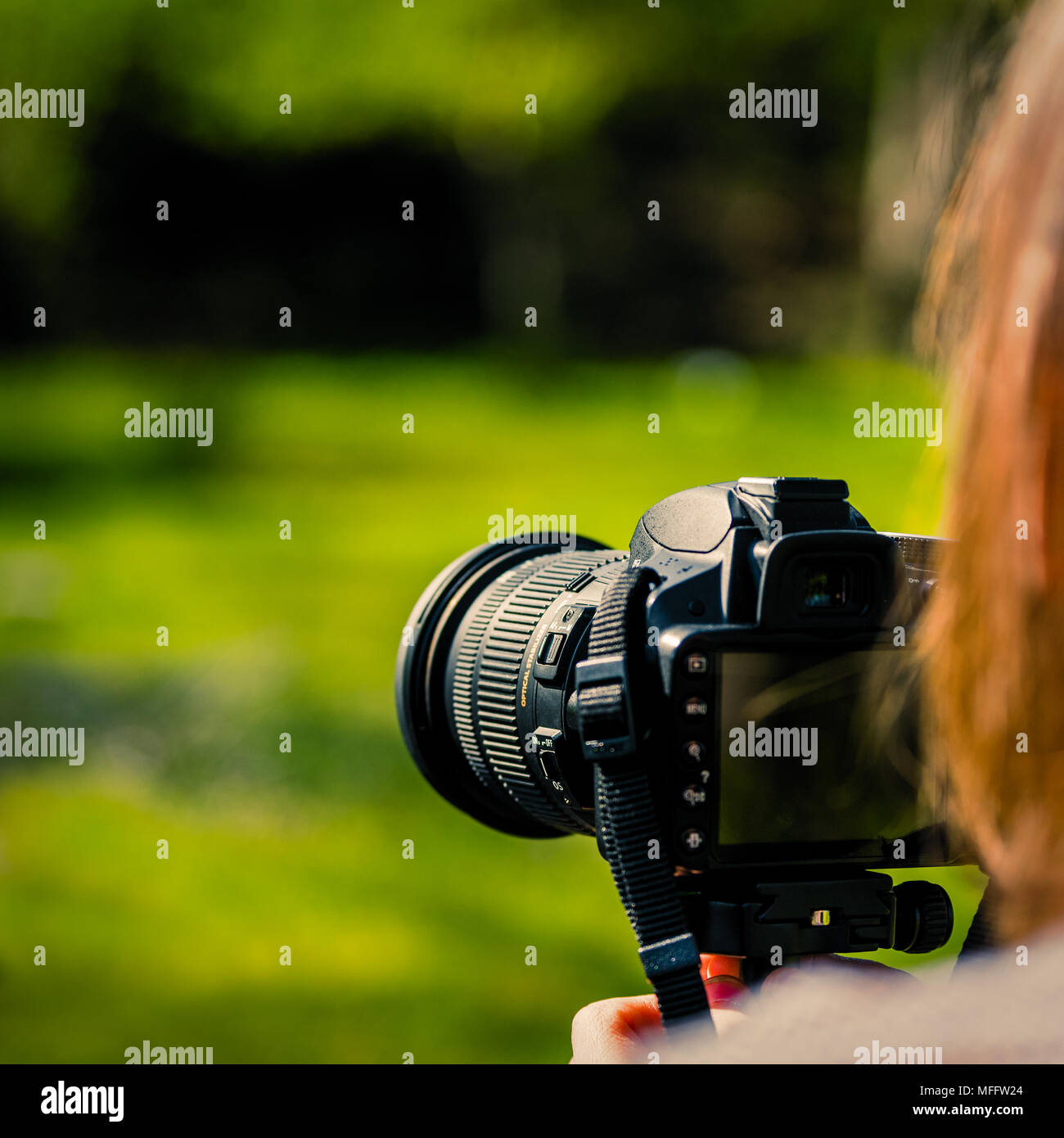 Female hiker photographing jungle valley hi-res stock photography and  images - Alamy