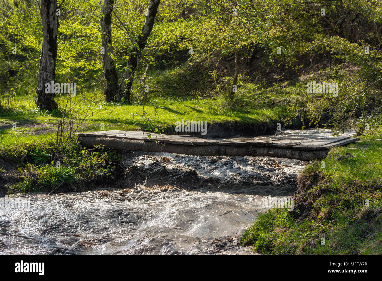 Wooden bridge over a forest river Stock Photo - Alamy