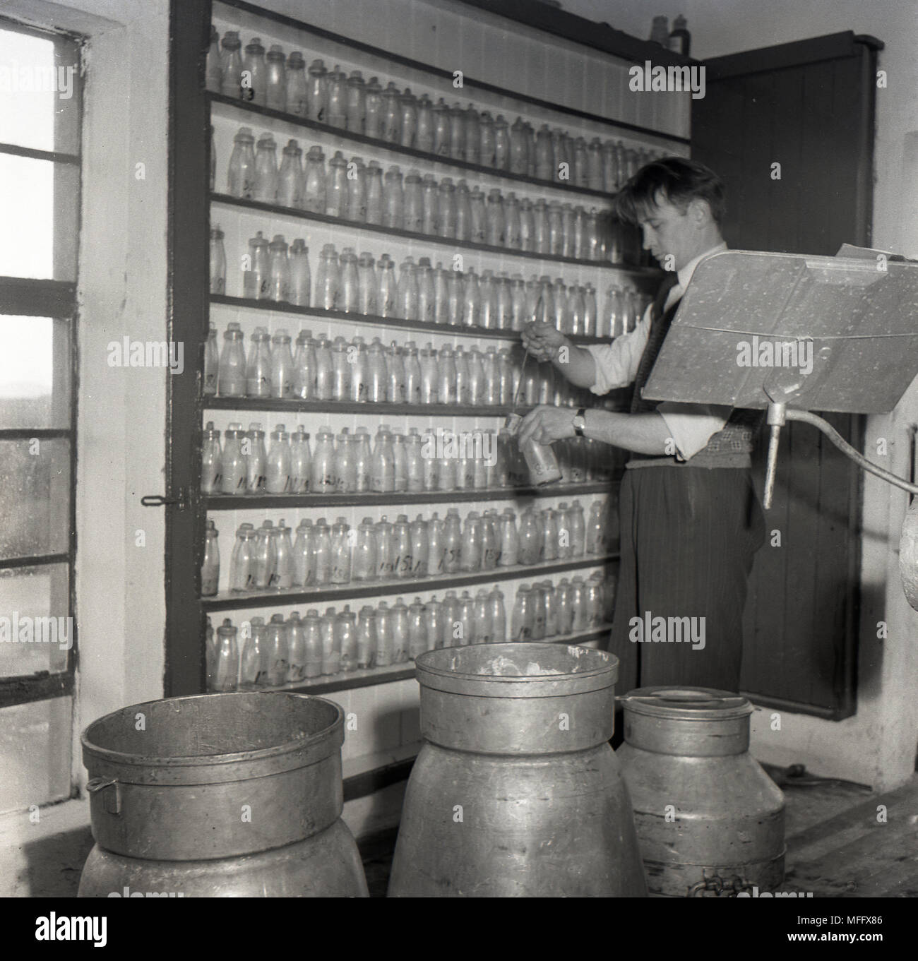1950s, historical, dairy manager pouring a sample of milk from a recent delivery into one of the large number of specimen milk bottles on a shelf.  Each  bottle is numbered. so a sample of the milk delivered from each farmer can be taken and checked. Stock Photo