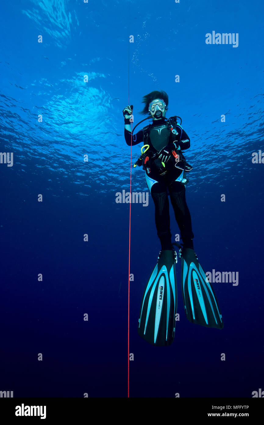 Scuba diver at the safety stop, Maldives, Indian Ocean Stock Photo Alamy
