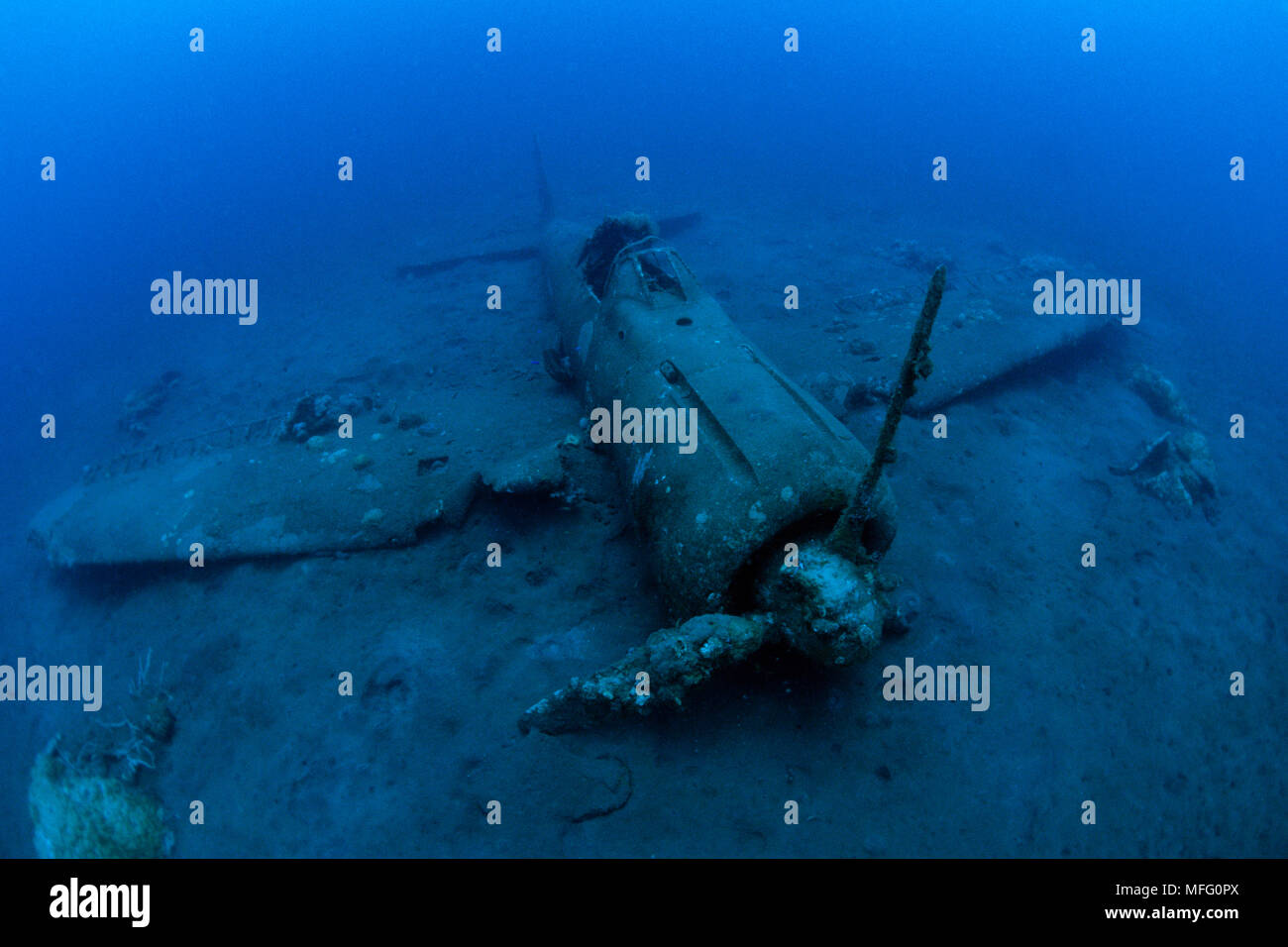 Wreck of airplane Zero A6M2b-Model 21, n¡8224, Gabuna Sulphur area, Walindi, Kimbe Bay, West New Britain, Papua New Guinea, Pacific Ocean Stock Photo