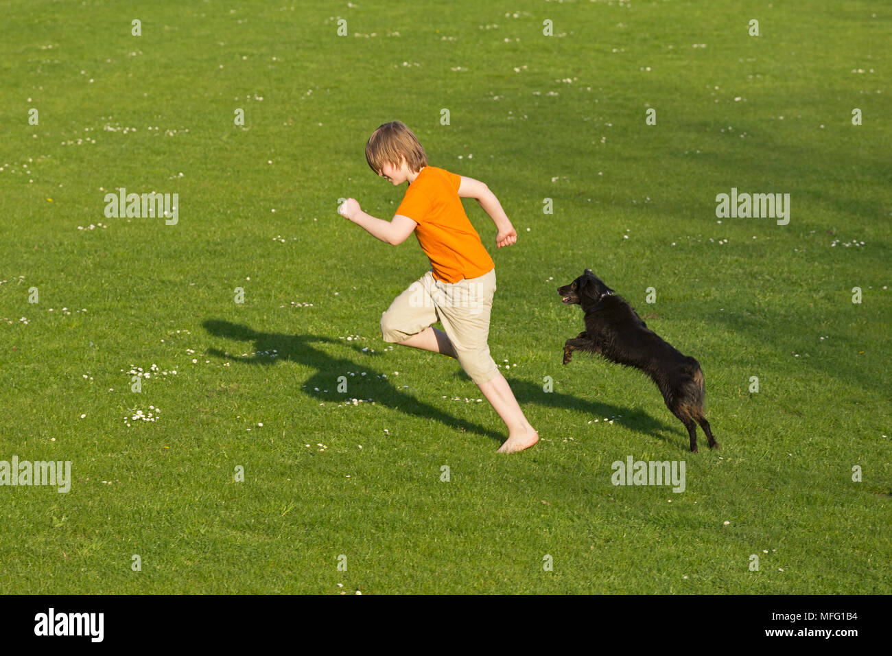 boy running with dog across lawn Stock Photo Alamy