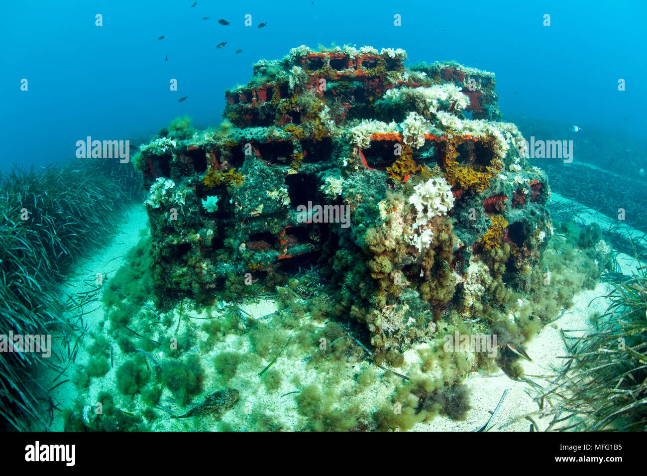 An artificial reef submerged in between the Posidonia oceanica bed, Larvotto Marine Reserve, Monaco, Mediterranean Sea  Mission: Larvotto marine Reser Stock Photo