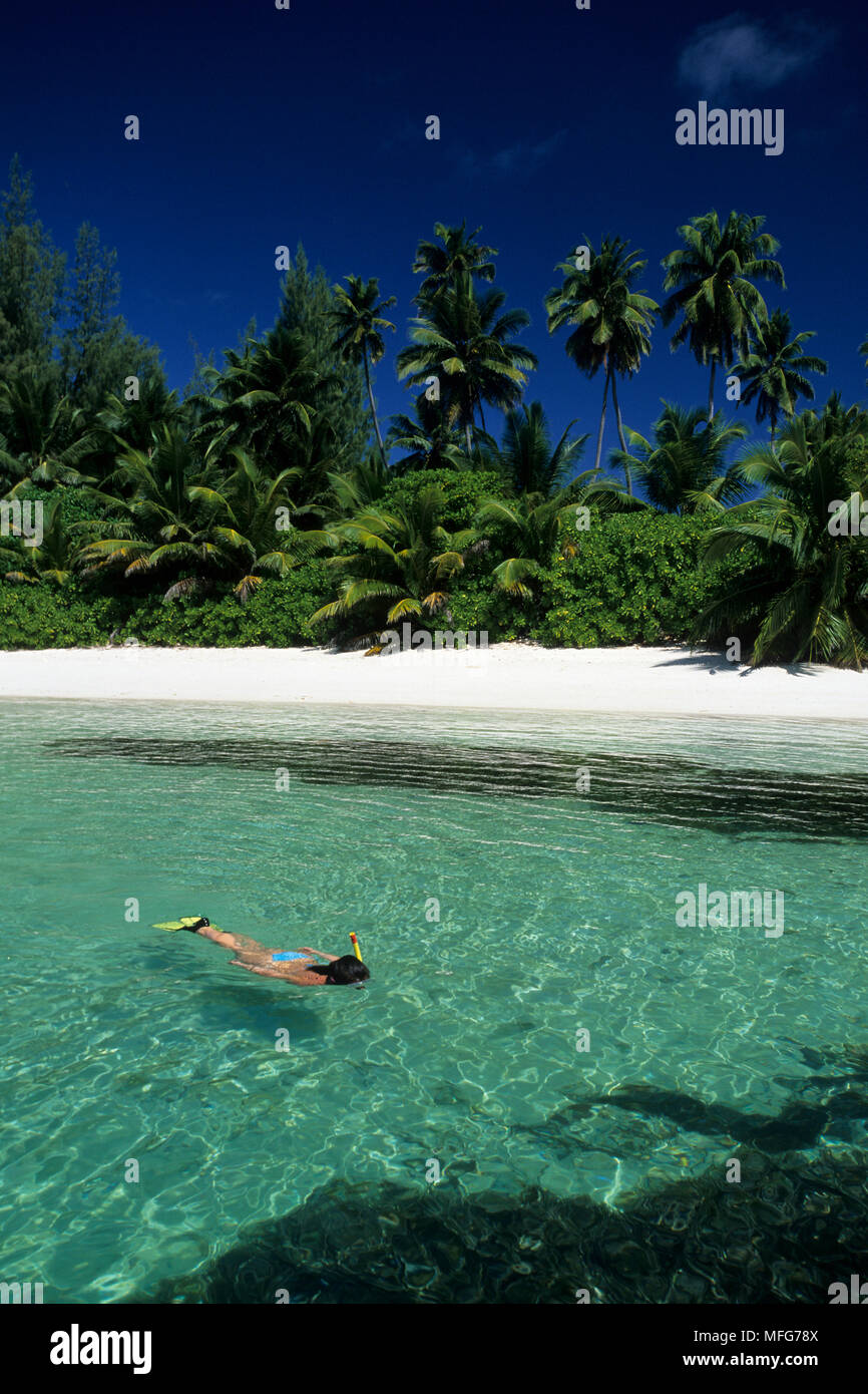 Snorkeller, Aldabra Atoll, Natural World Heritage Site, Seychelles, Indian Ocean    Date: 24.06.08  Ref: ZB777 115630 0002  COMPULSORY CREDIT: Oceans- Stock Photo