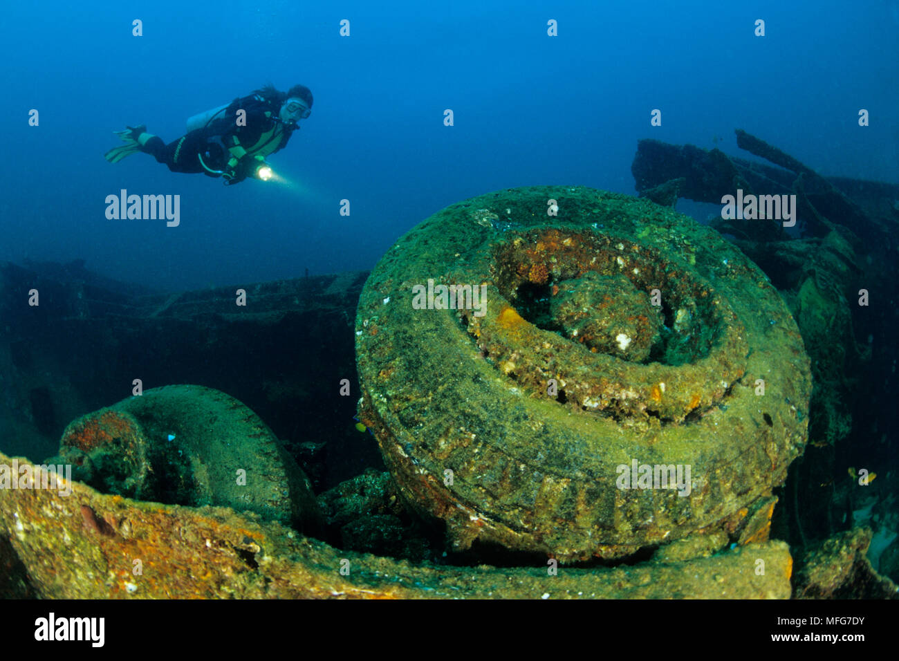 scuba diver and truck's wheels on the Salvatierra wreck, Antipathes galapagensis, Sea of Cortez Baja California, Mexico, East Pacific Ocean  Date: 24. Stock Photo