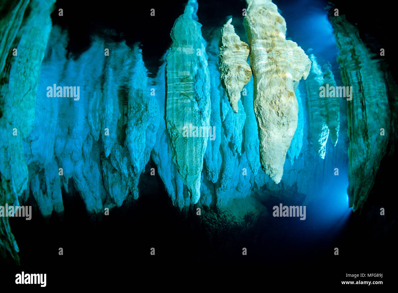 Chandelier Cave, Palau (Belau), Micronesia, Pacific Ocean  Date: 23.07.08  Ref: ZB777 117155 0024  COMPULSORY CREDIT: Oceans-Image/Photoshot Stock Photo