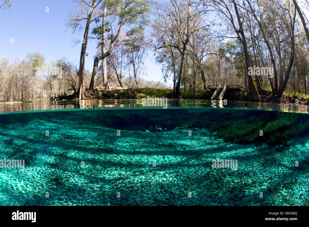 The water entry of Devil's Eye, Ginnie Spring, Florida, Unites States
