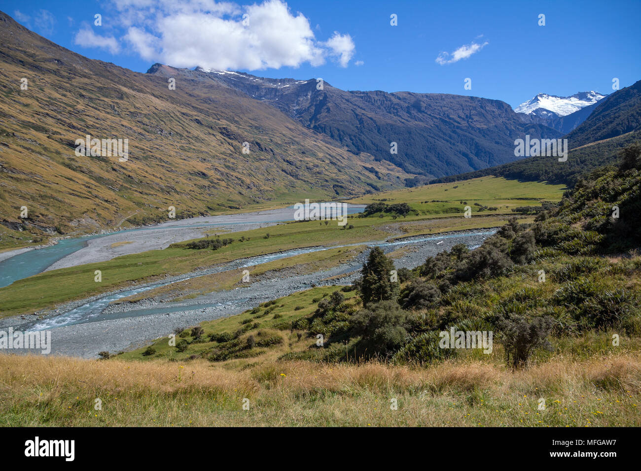 With a gradual climb up from river, Rob Roy Glacier Track in Mount Aspiring National Park, near Wanaka in New Zealand is a popular day hike or tramp Stock Photo