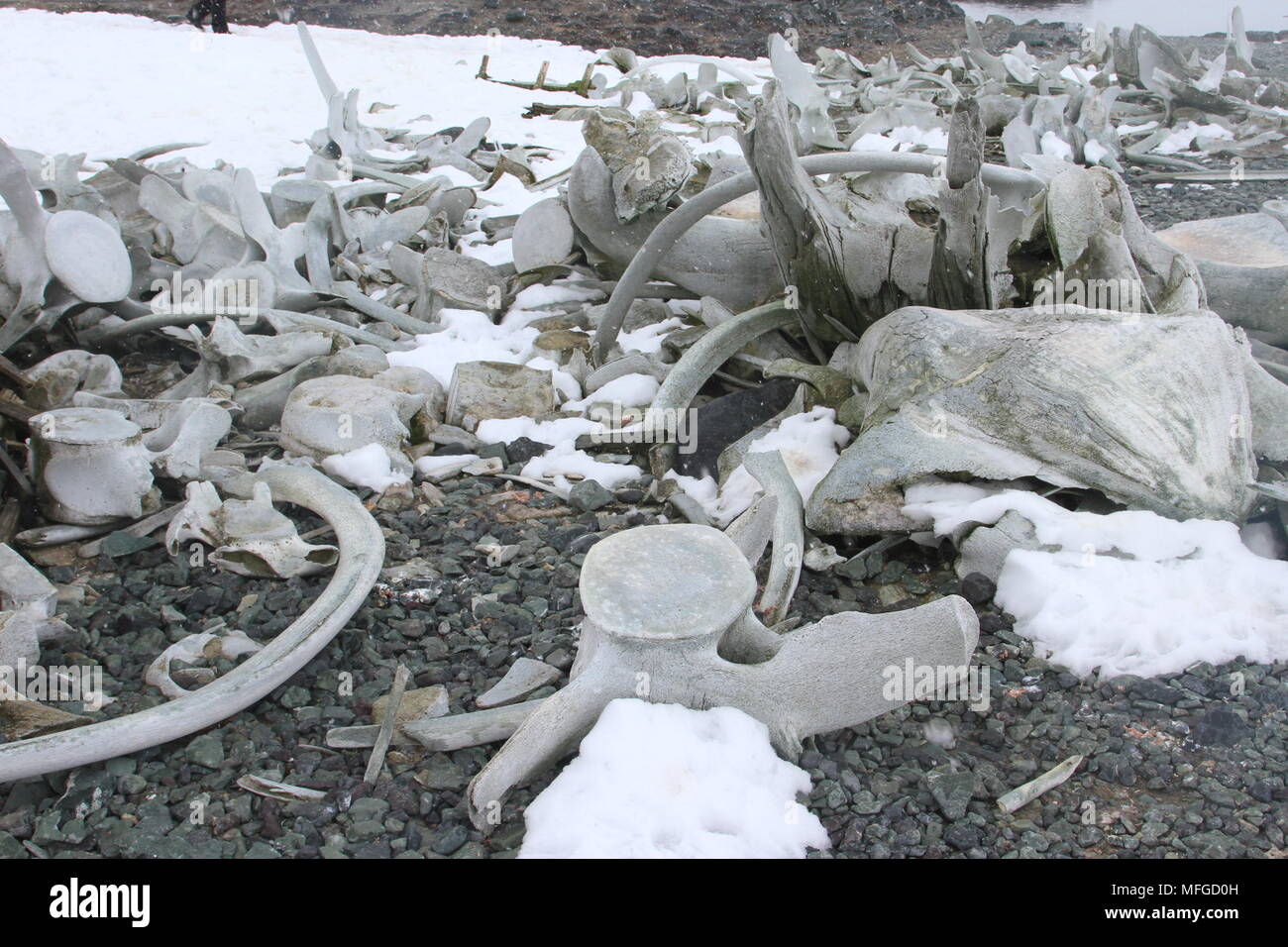 Antarctic snow and ice Stock Photo - Alamy