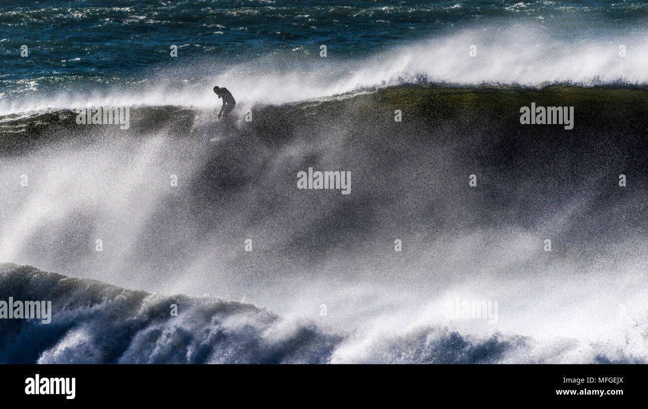 A surfer on the crest of a huge powerful wave off Fistral Beach in Newquay in Cornwall. Stock Photo