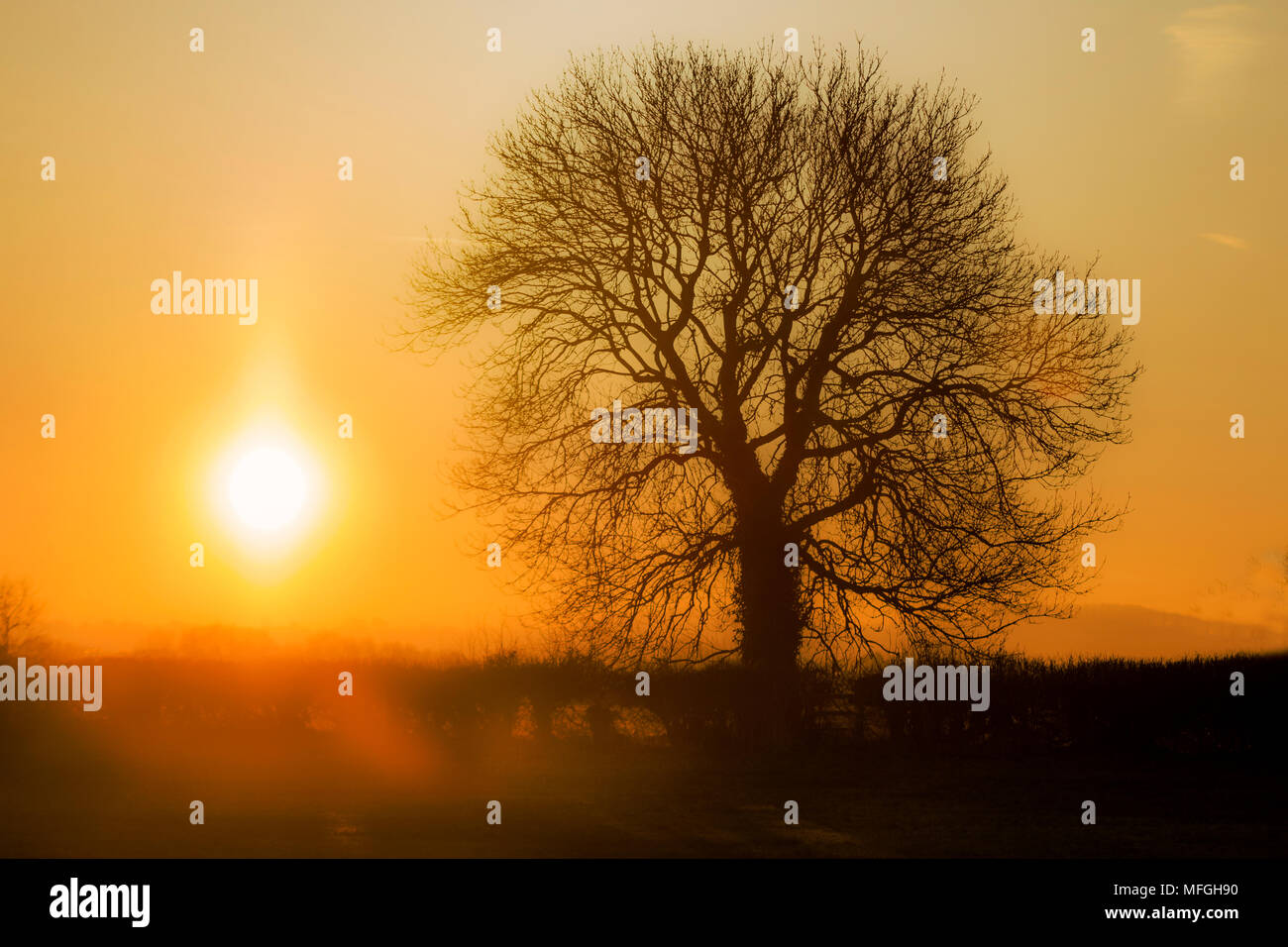 Sunrise over the fields Stock Photo - Alamy