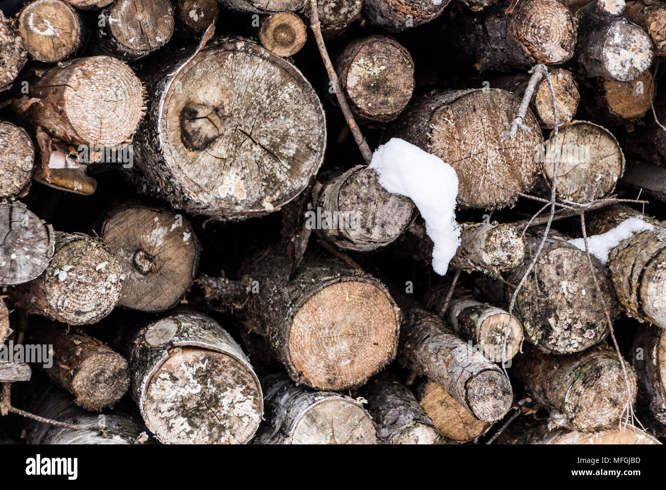Folded felled trees, background Stock Photo