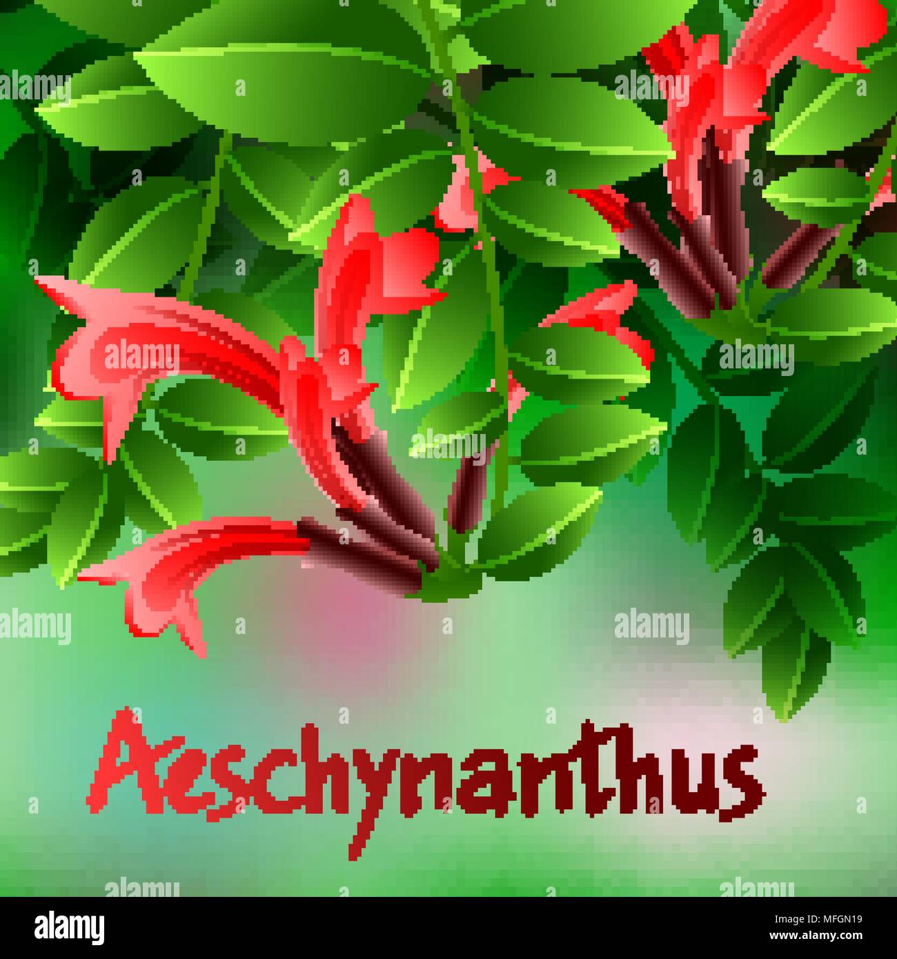 Beautiful spring flowers Aeschynanthus. Cards or your design with space for text. Vector illustration Stock Vector