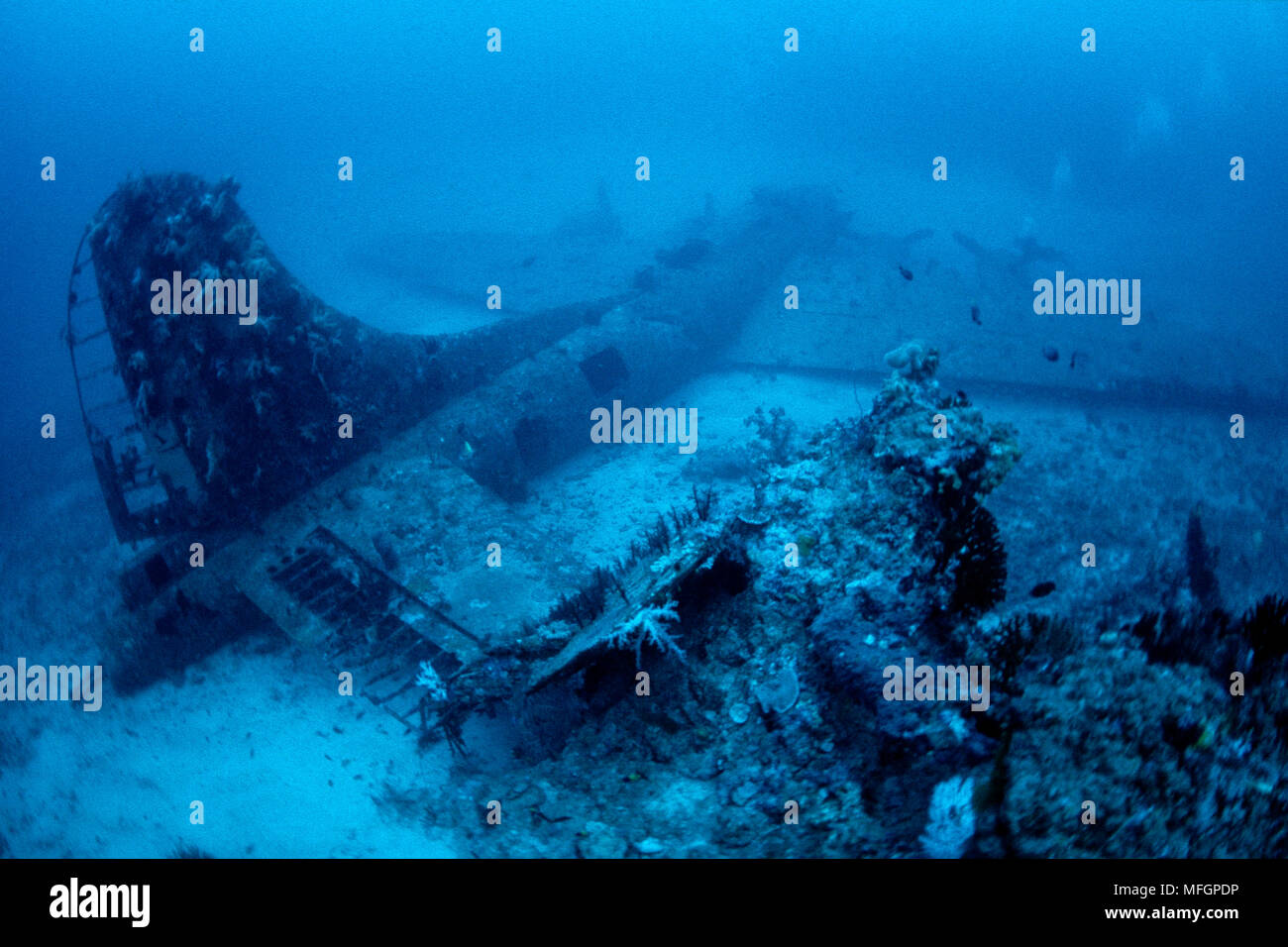 B-17F (called Black Jack) Flying Fortress, American four-engine heavy bomber aircraft, the wreck lies on a seabed at a depth of 45 metres in front of Stock Photo