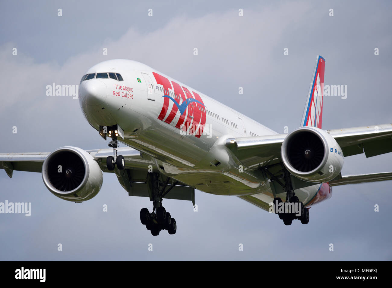 TAM Airlines is the Brazilian brand of LATAM Airlines Group. LATAM Boeing 777 PT-MUJ landing at London Heathrow Airport. The magic red carpet Stock Photo
