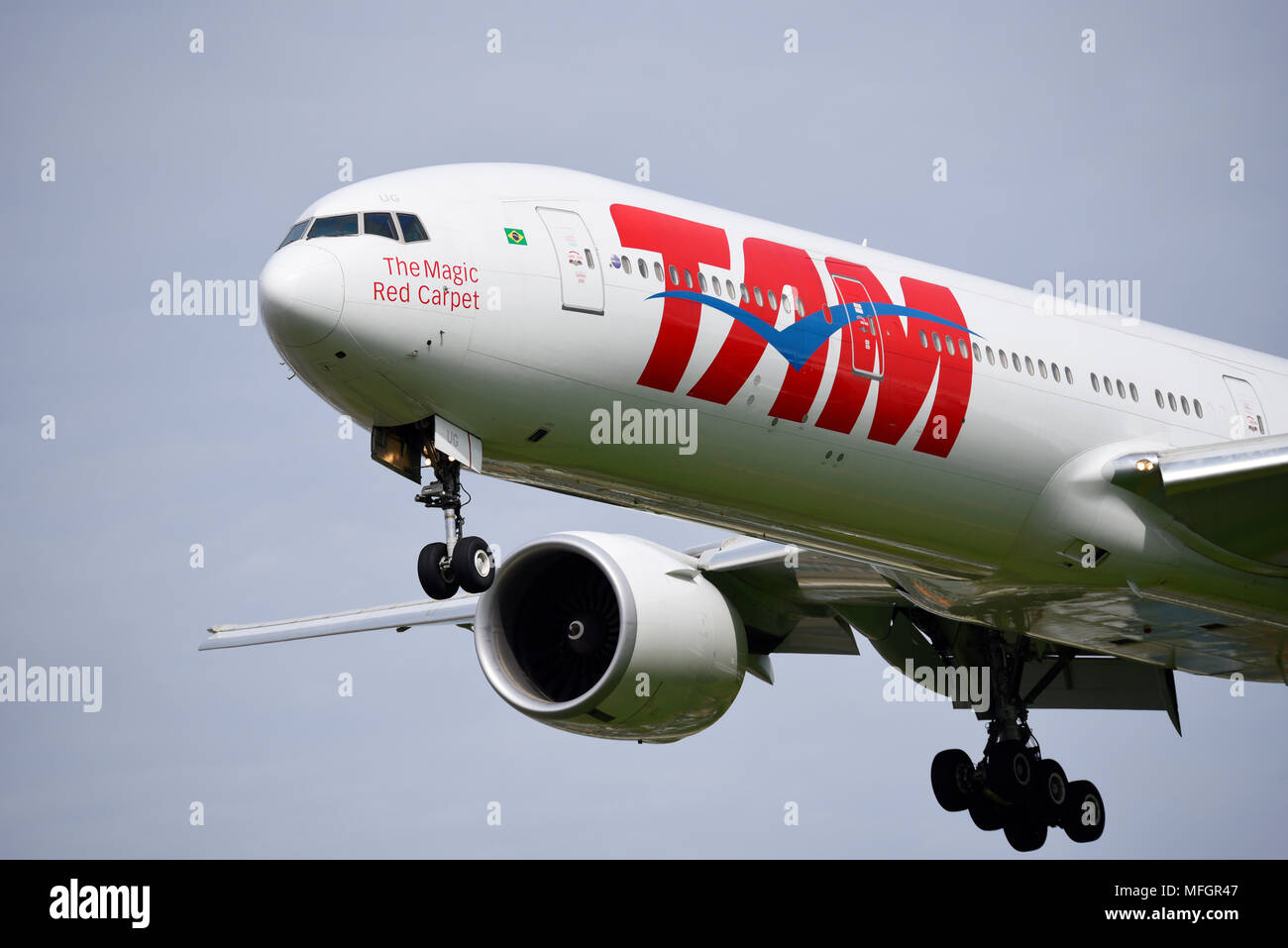 TAM Airlines is the Brazilian brand of LATAM Airlines Group. LATAM Boeing 777 PT-MUJ landing at London Heathrow Airport. The magic red carpet Stock Photo