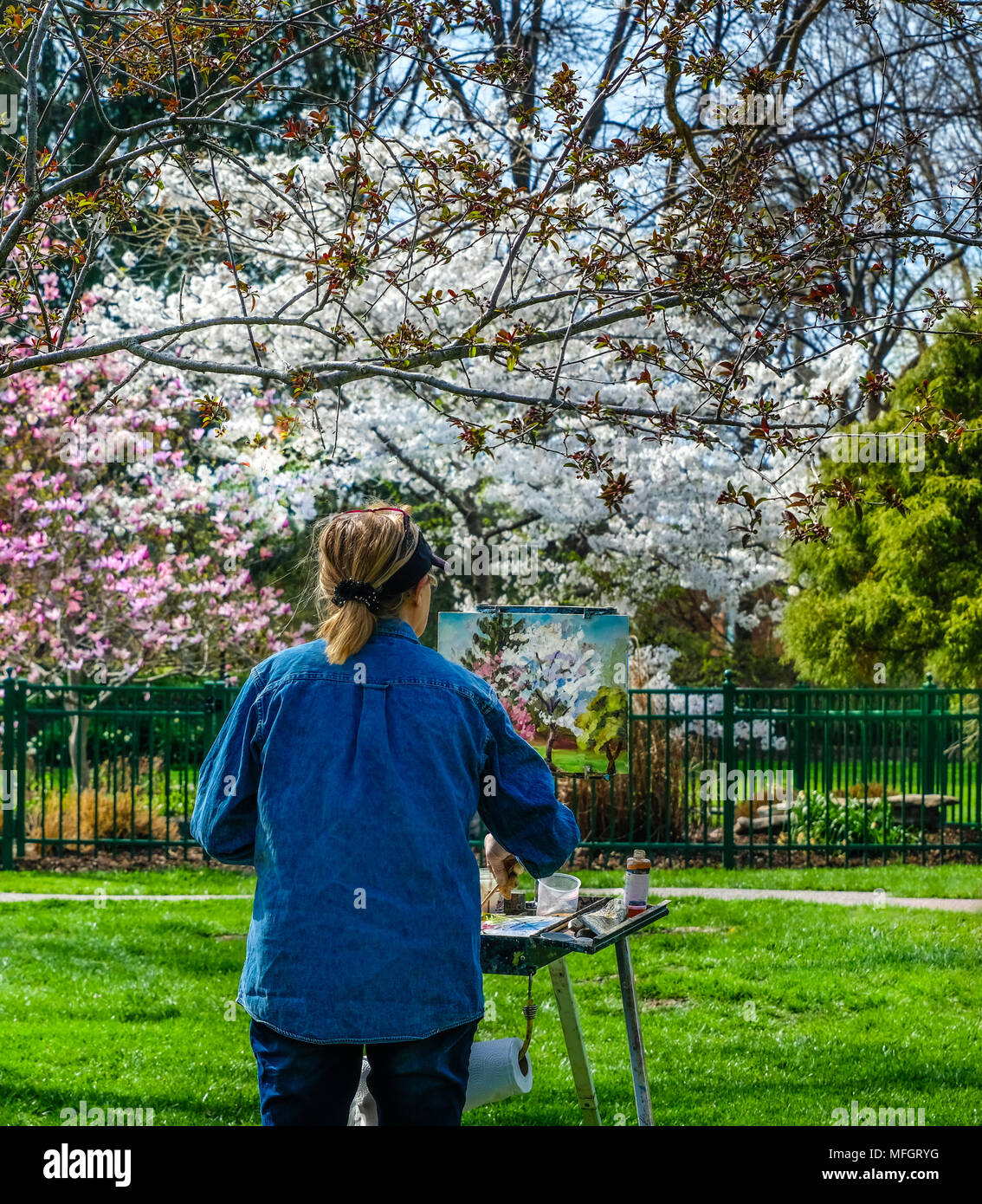 Woman painting blooming trees in a garden in the spring in Missouri Stock Photo