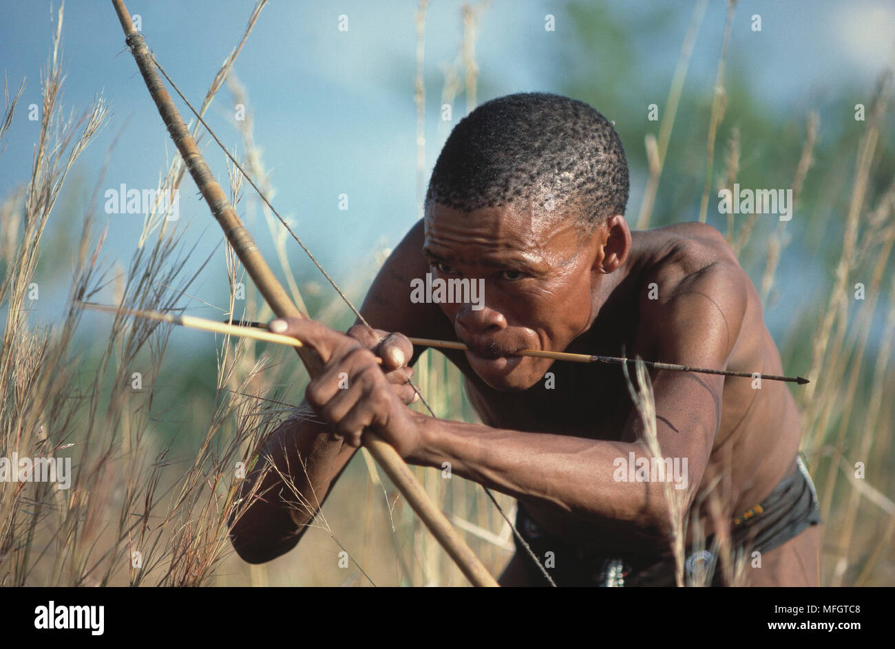 Bushmen hunting bow arrow bushman hires stock photography and images Alamy