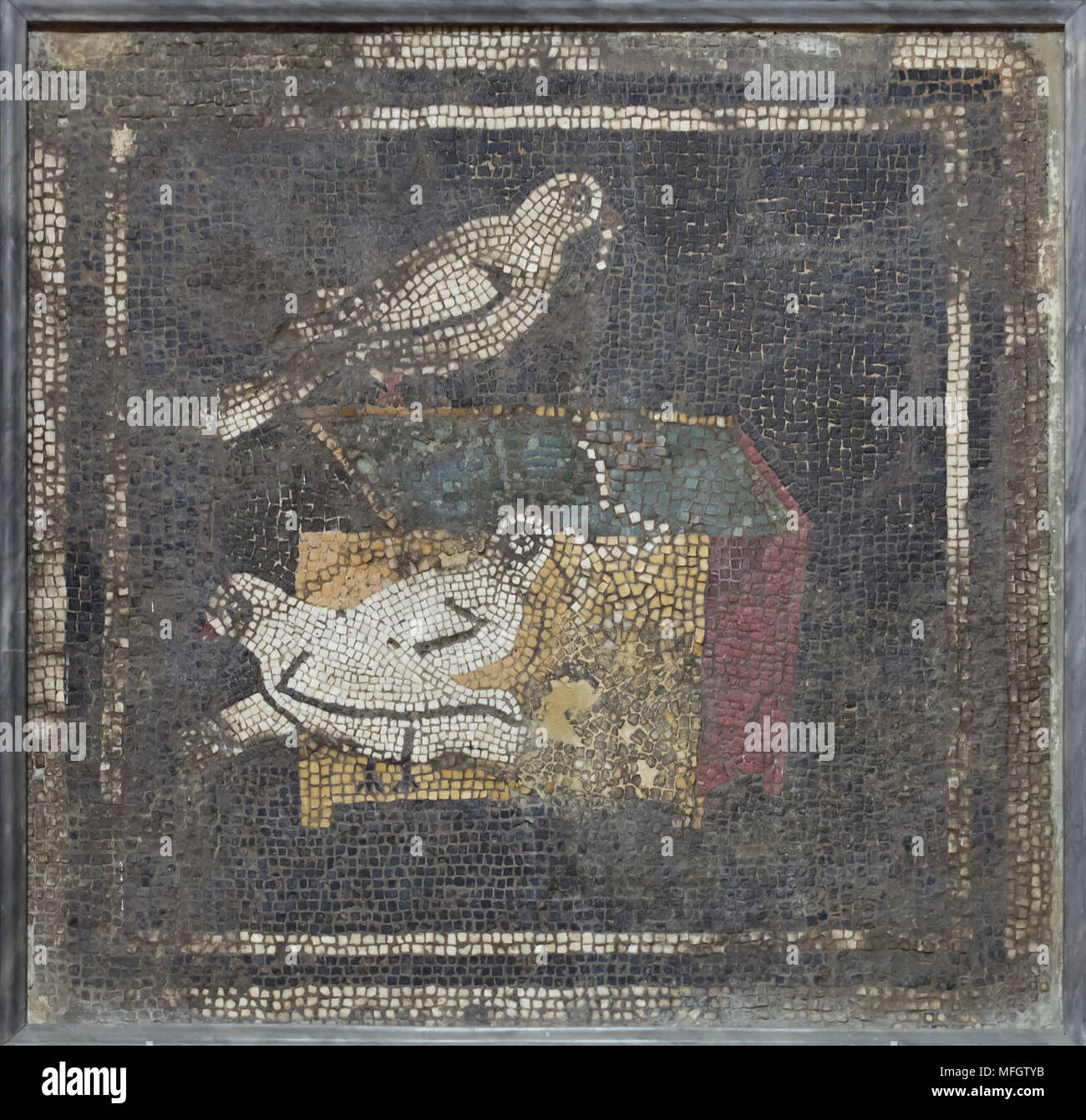 Doves on chest depicted in the Roman mosaic from the Casa del Fauno (House of the Faun) in Pompeii, now on display in the National Archaeological Museum (Museo Archeologico Nazionale di Napoli) in Naples, Campania, Italy. Stock Photo