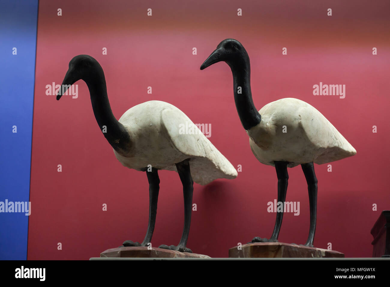 Two sacred ibises dated from the Roman period from the 1st century BC or the 1st century AD found in Pompeii on display in the National Archaeological Museum (Museo Archeologico Nazionale di Napoli) in Naples, Campania, Italy. Stock Photo