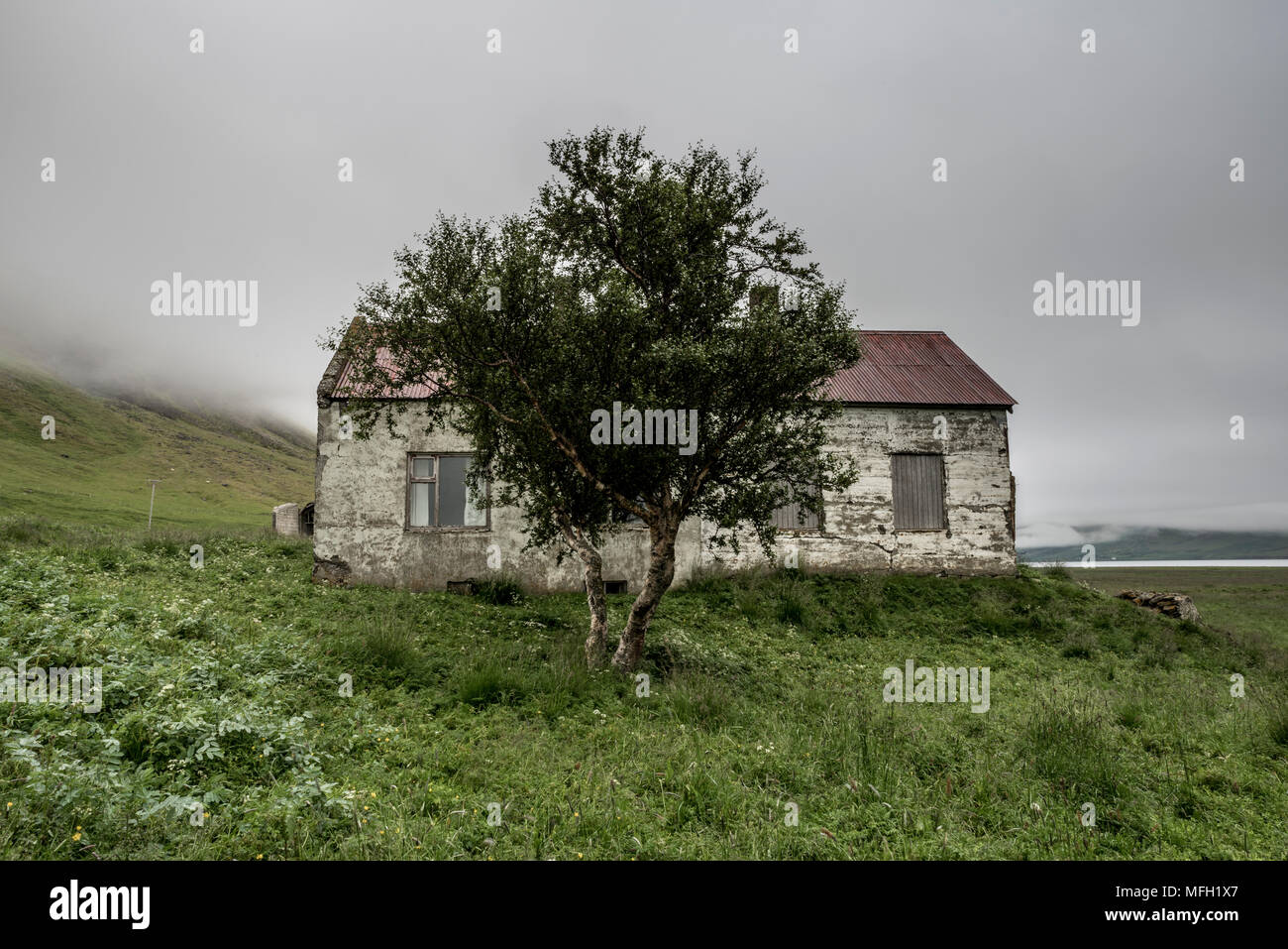 Abandoned farmhouse, Westfjords, Iceland, Polar Regions Stock Photo