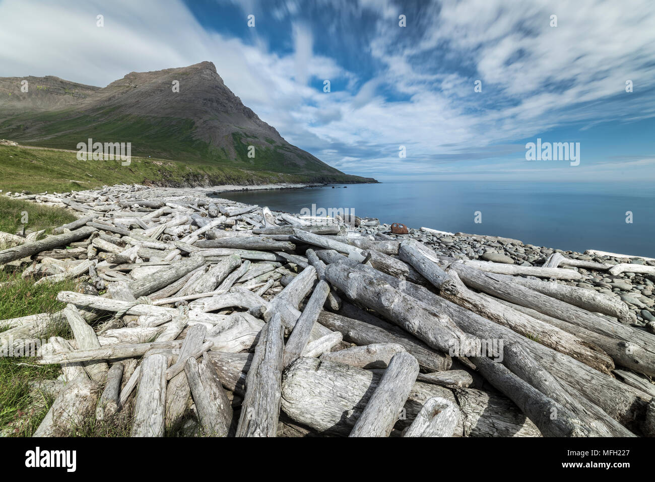 Driftwood from Siberia, Strandir Coast, Westfjords, Iceland, Polar Regions Stock Photo
