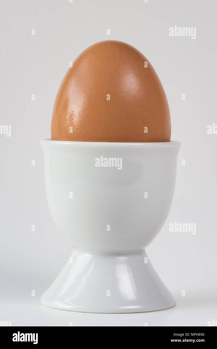 https://c8.alamy.com/comp/MFHE06/brown-chicken-egg-in-holder-MFHE06.jpg