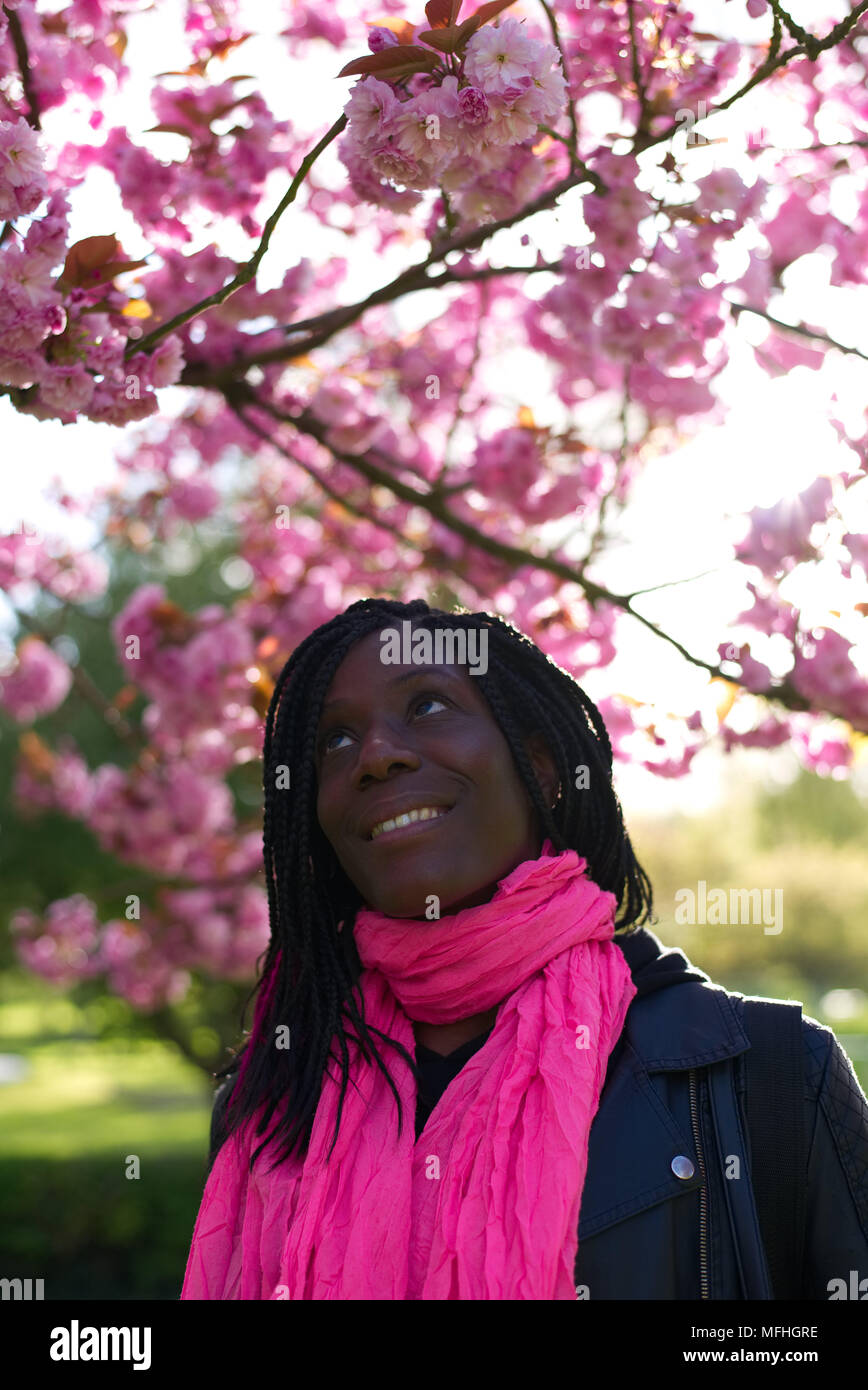 A black woman admiring pink cherry blossom on a tree on a sunny day Stock Photo