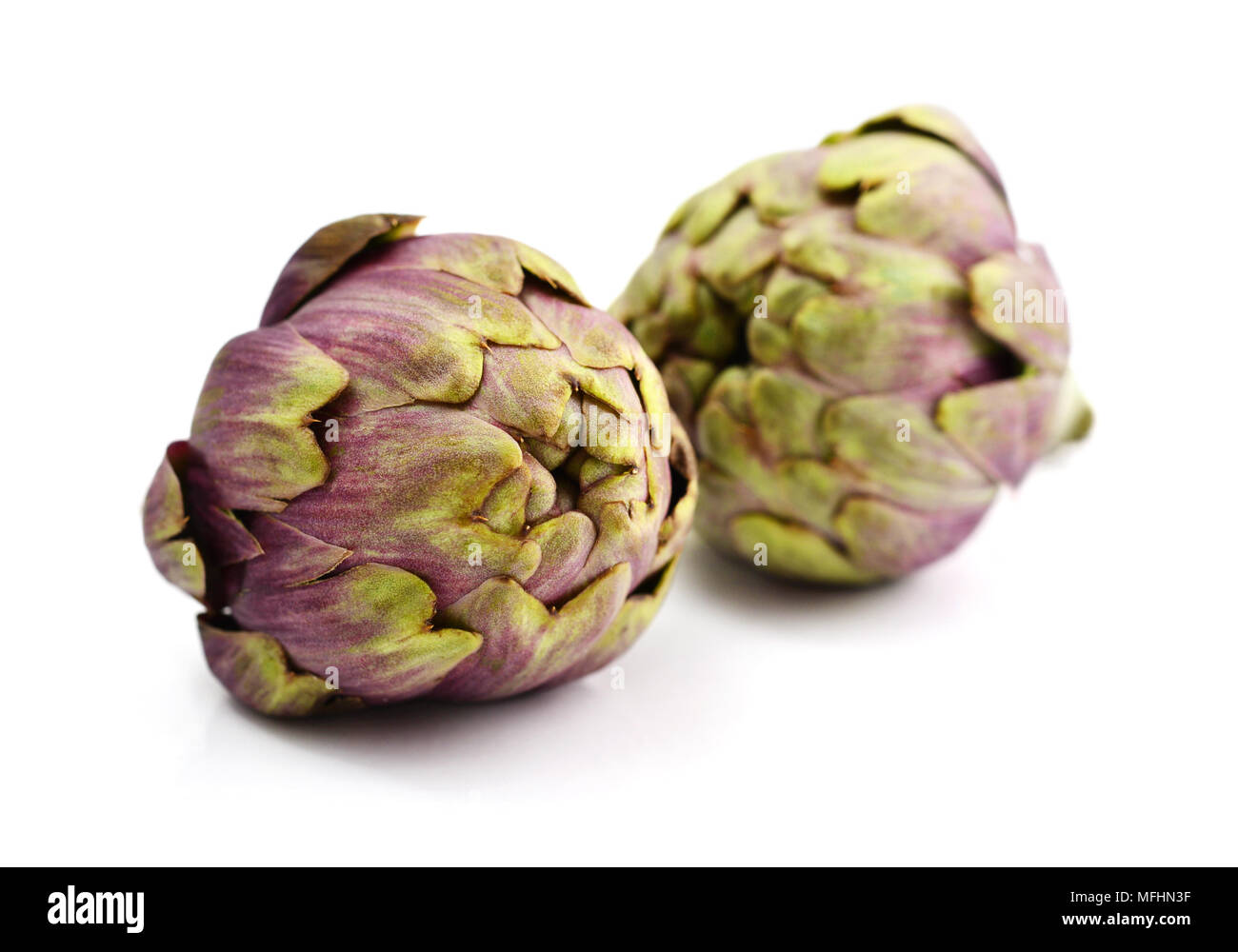 Two fresh artichokes with stem isolated on white background Stock Photo