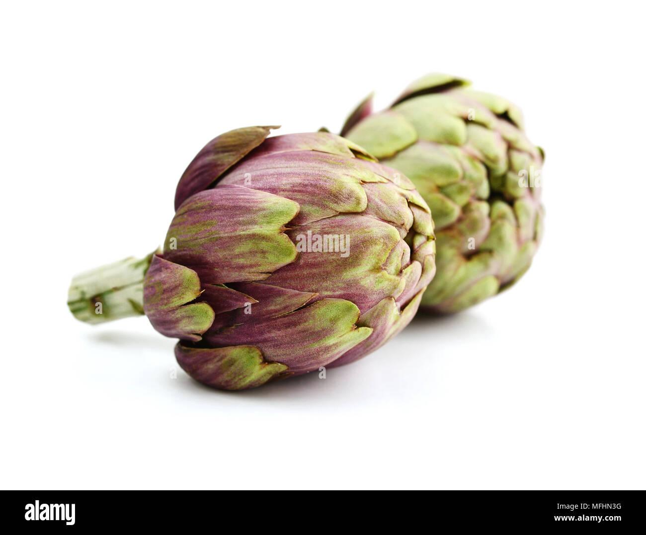 Two fresh artichokes with stem isolated on white background Stock Photo