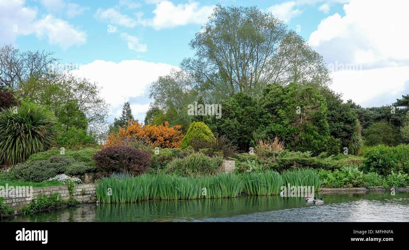 Memorial Park, Pinner, Middlesex, UK. Panoramic photo taken on a fresh ...