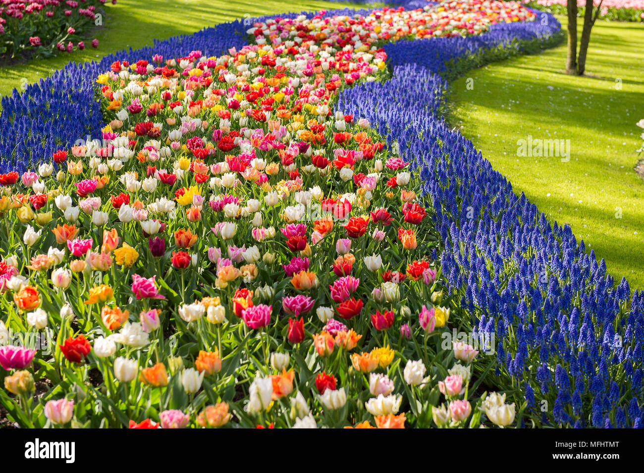 Keukenhof park in Netherlands Stock Photo - Alamy
