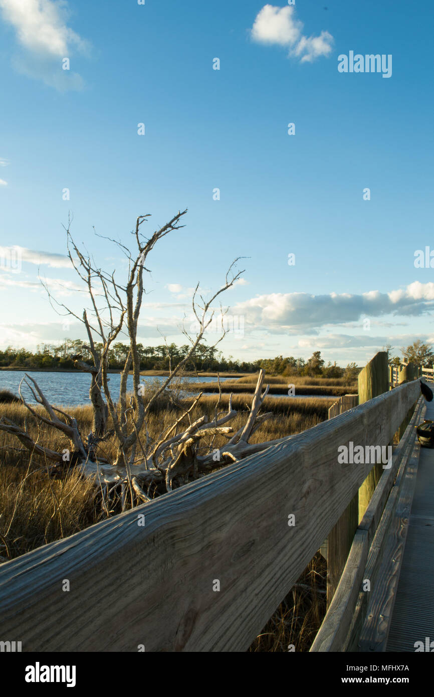 Sunset and the golden hour near the boardwalk and river edge of Cape