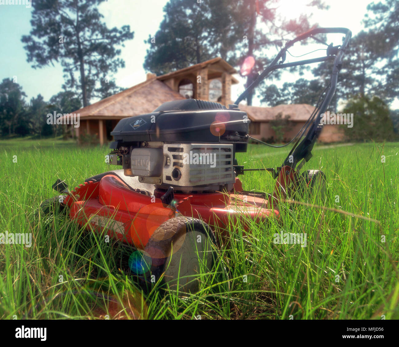 Power mower unused in tall grass lawn in fron of home. Stock Photo